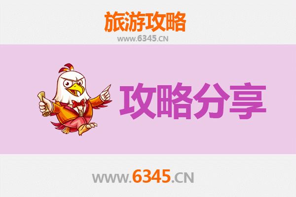 塔城乌苏出发湄洲岛旅游攻略：跟团 vs 自由行深度解析
